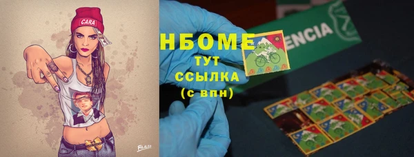 прущий лед Лагань